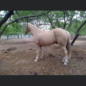 Meet your Posher, Martin